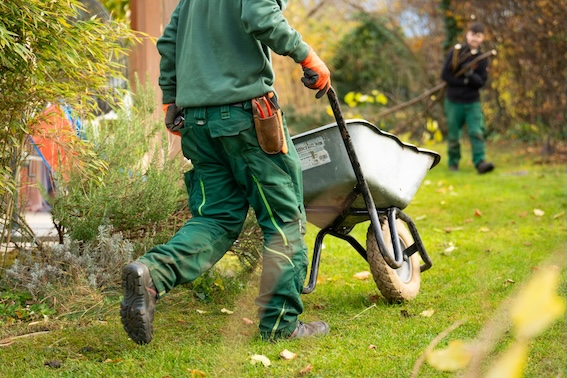 Weed Control