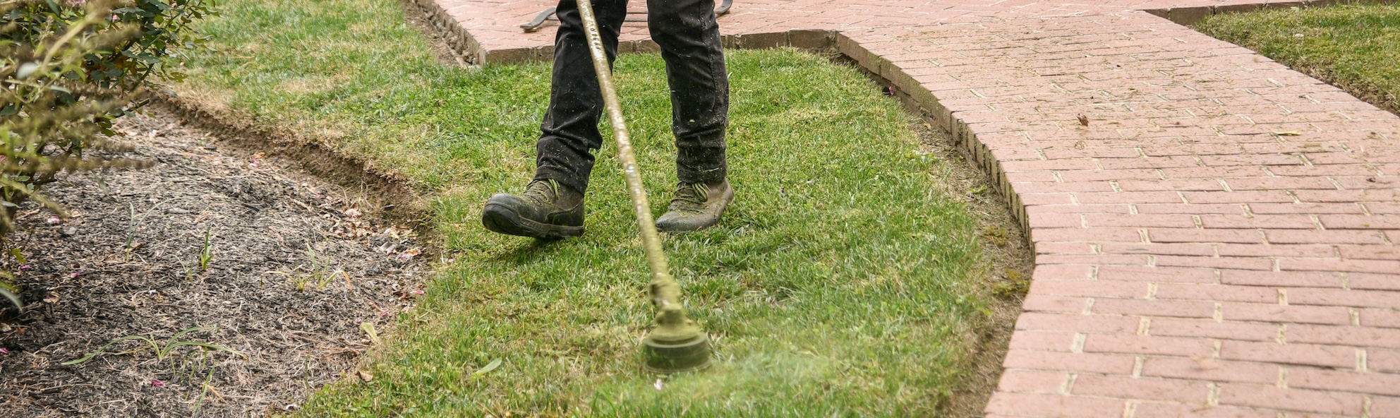 Seasonal Cleanups
